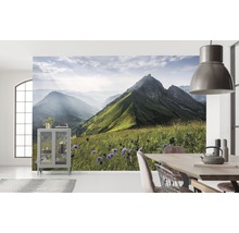 Wohnraum mit Bergpanorama-Tapete, Esstisch und Vitrinenschrank