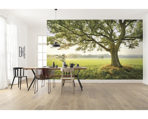 Wohnraum mit einer Fototapete, die einen Baum auf einer grünen Wiese zeigt.