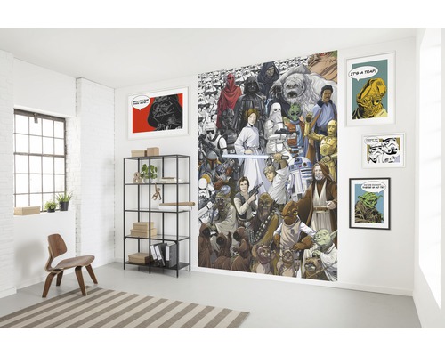 Raum mit Star Wars Wandbild, Regalen und Dekorationsartikeln