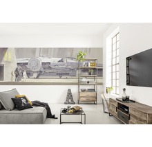 Wohnzimmer mit Sofa, Regal, Mediaschrank und Star Wars Wandbild