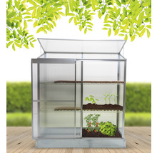 Gewächshaus mit Pflanzen auf Regalen