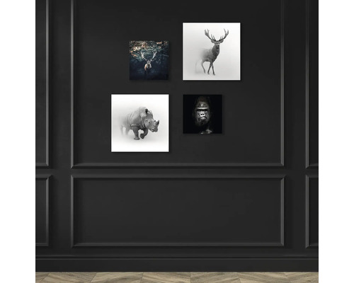 Vier Wandbilder mit Tierdarstellungen an einer Wand
