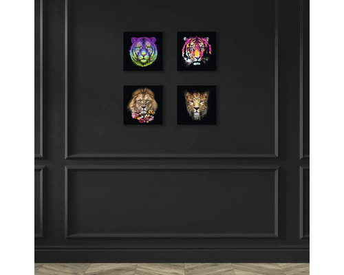 Wand mit vier Tierbildern: Tiger, Löwe und Leopard