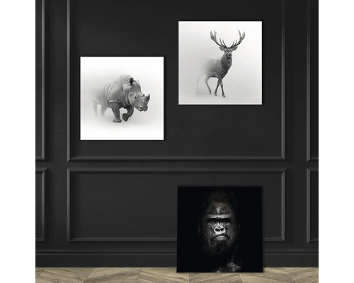 Wanddekoration mit drei Tierbildern: Nashorn, Hirsch und Gorilla