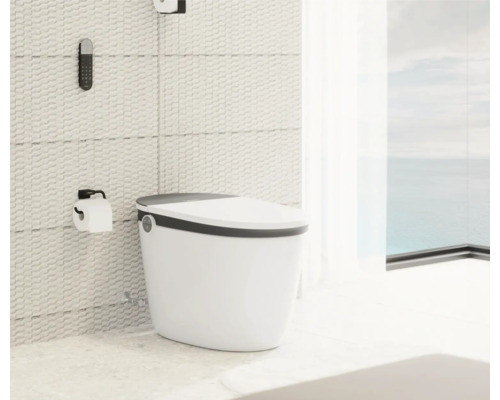 Toilette mit Fernbedienung und Toilettenpapierhalter in modernem Badezimmer