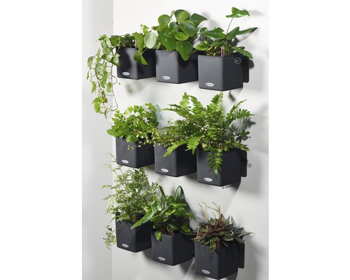 Wand mit modularen Pflanzgefäßen mit verschiedenen Zimmerpflanzen