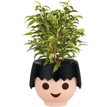 Zimmerpflanze in einem Blumentopf mit Gesicht