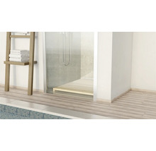 Badezimmer mit Dusche, Handtuchleiter und Holzboden