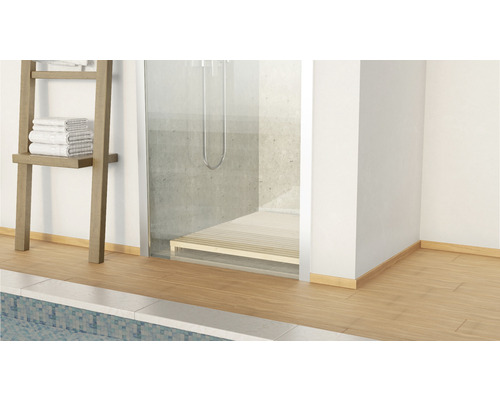 Badezimmer mit Dusche, Handtuchleiter und Holzboden