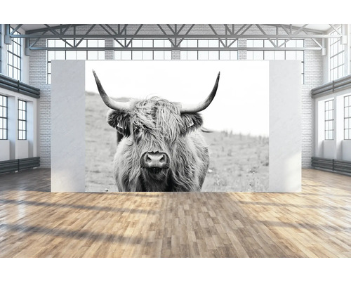 Wandtuch Büffel 350x250 cm