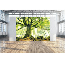 Wandbild mit Waldmotiv in hellem Raum