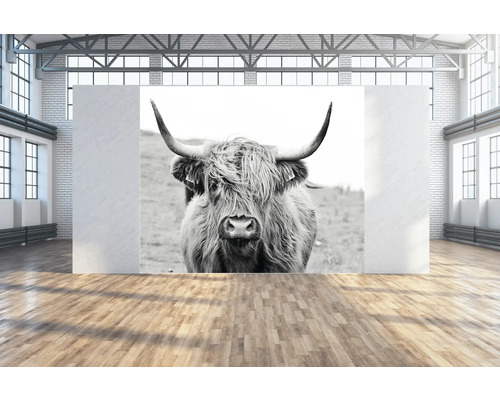 Wandtuch Büffel 300x250 cm