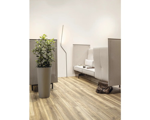 Szene mit Sitzgruppe, Stehlampe und Topfpflanze auf Holzboden