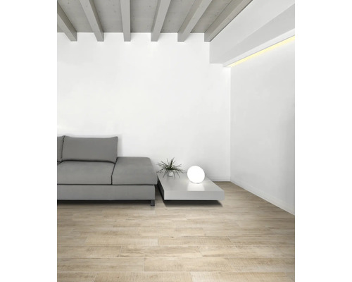 Heller Wohnraum mit Sofa, Tisch, Zimmerpflanze und Holzbodenfliesen