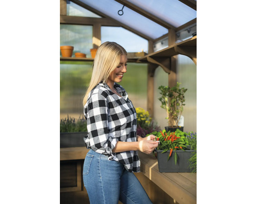 Frau erntet Chilis in einem Gewächshaus mit Holzrahmen und Regalen