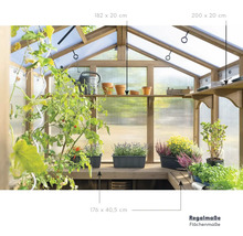 Gewächshaus WESTMANN Paul Holz 6 cm 204 x 238 cm braun-thumb-11 Gewächshaus WESTMANN Paul Holz 6 cm 204 x 238 cm braun-thumb-11