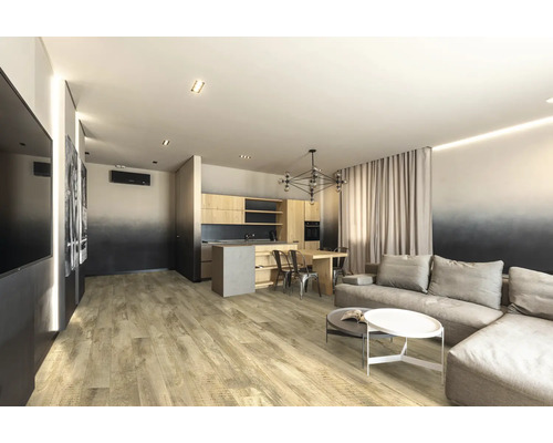 Wohnzimmer mit Holzboden, Küche und Sitzecke