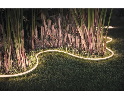 Dekorative LED-Lichterkette im Garten zwischen Pflanzen