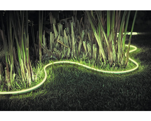 Beleuchteter LED-Lichtschlauch im Garten zwischen Pflanzen