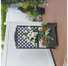 Blumenkasten mit Rankgitter und Blumen auf einer Terrasse
