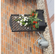 Wandbepflanzter Blumenkasten mit Gitter und Gießkanne vor einer Ziegelwand