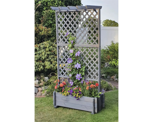 Holz Spalier mit Pflanzkasten und blühenden Pflanzen im Garten