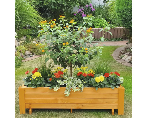 Holz-Pflanzkasten mit Blumen und Baum im Garten