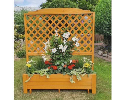 Holzpflanzkasten mit Rankgitter und verschiedenen Pflanzen im Garten