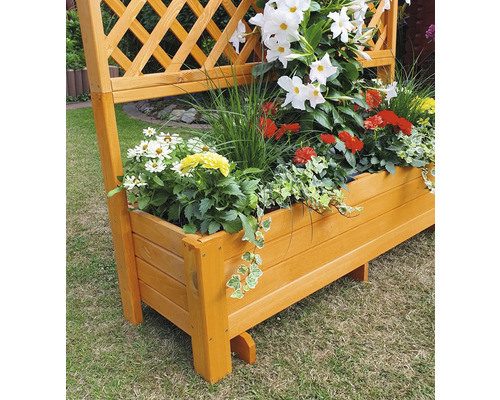 Holzpflanzkasten mit Rankgitter und Bepflanzung im Garten