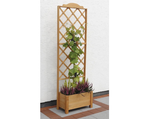 Blumenkasten mit Rankgitter aus Holz mit Bepflanzung