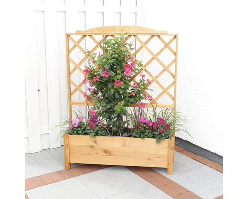 Blumenkasten aus Holz mit Rankgitter und blühenden Pflanzen