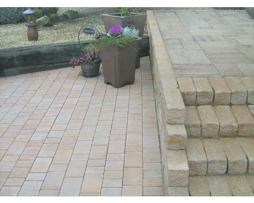 Gepflasterte Terrasse mit Treppe und Pflanzgefäßen