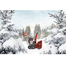 AL-KO Schneefräse vor Winterlandschaft