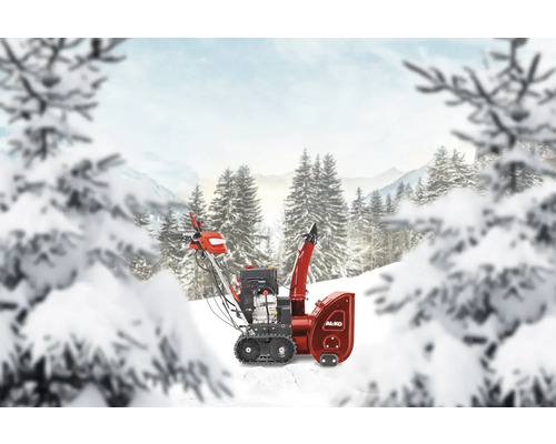 AL-KO Schneefräse vor Winterlandschaft