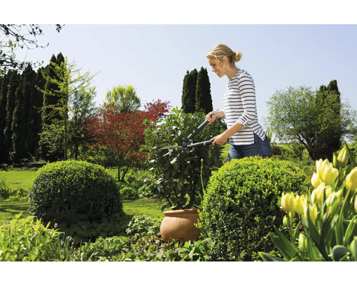 Frau schneidet Hecke mit einer Heckenschere im Garten.