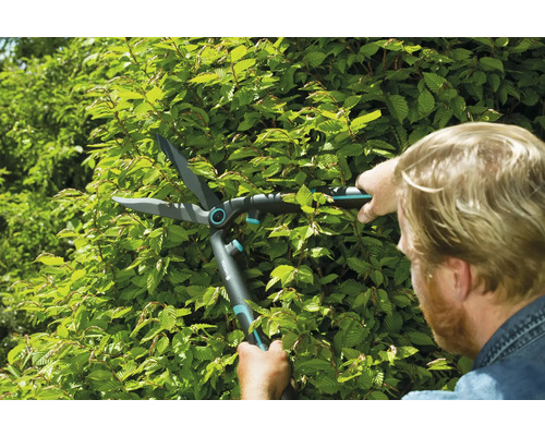Eine Person schneidet eine Hecke mit einer Heckenschere.