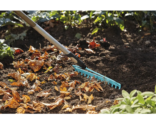 Garten mit Laub und einem Fächerbesen