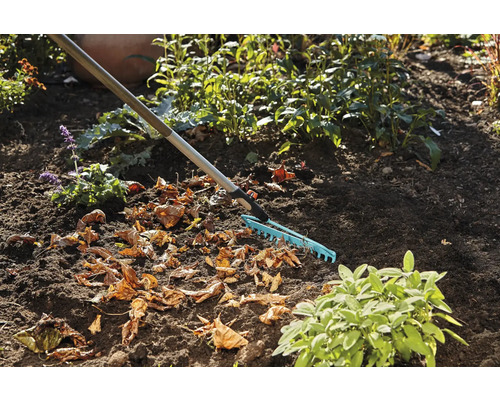 Garten mit Harke und Herbstlaub