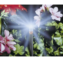 Gartenbewässerung mit Sprinkler vor Blumen