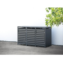 Mülltonnenbox WESTMANN Kubus 3 80 x 200 x 116 cm anthrazit