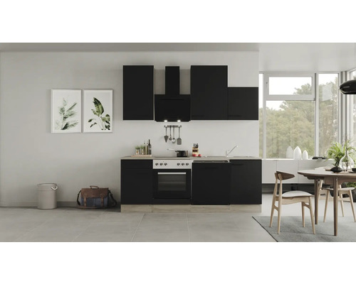 Küchenzeile Flex Well Capri schwarz matt/Wildeiche 220 cm inkl. Einbaugeräte 00012600