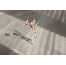 Bodenfliesen mit Blumenvase auf heller, sonnendurchfluteter Fläche