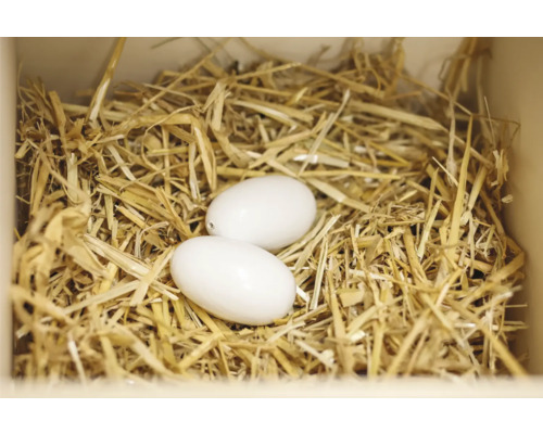 Zwei Eier im Stroh Nest