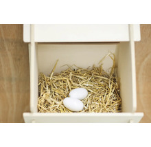 Vogelhaus mit Nest und zwei Eiern