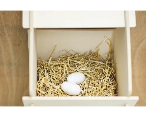 Vogelhaus mit Nest und zwei Eiern