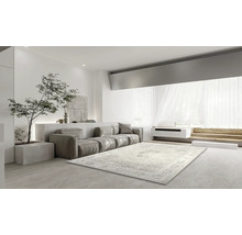 Helles Wohnzimmer mit gemustertem Teppich, Sofa und Zimmerpflanze