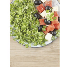 Teller mit Kresse, Wassermelone, Oliven und Käse