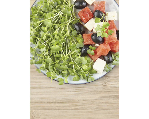 Teller mit Kresse, Wassermelone, Oliven und Käse