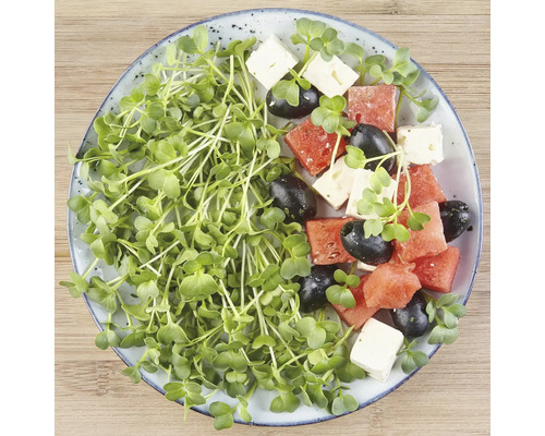 Wassermelone, Feta, Oliven und Microgreens auf einem Teller