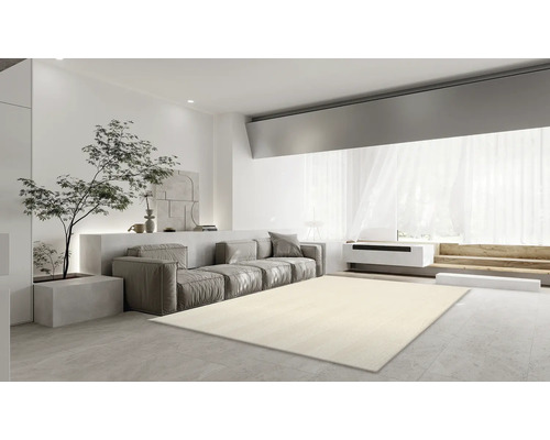 Heller Wohnraum mit Couch, Baum und Teppich